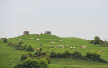 normandy-countryside